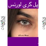 لورنس - پل گری - طوسی عسلی - Image 5
