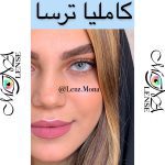 ترسا لاکچری - کاملیا - طوس سبز آبی - Image 4