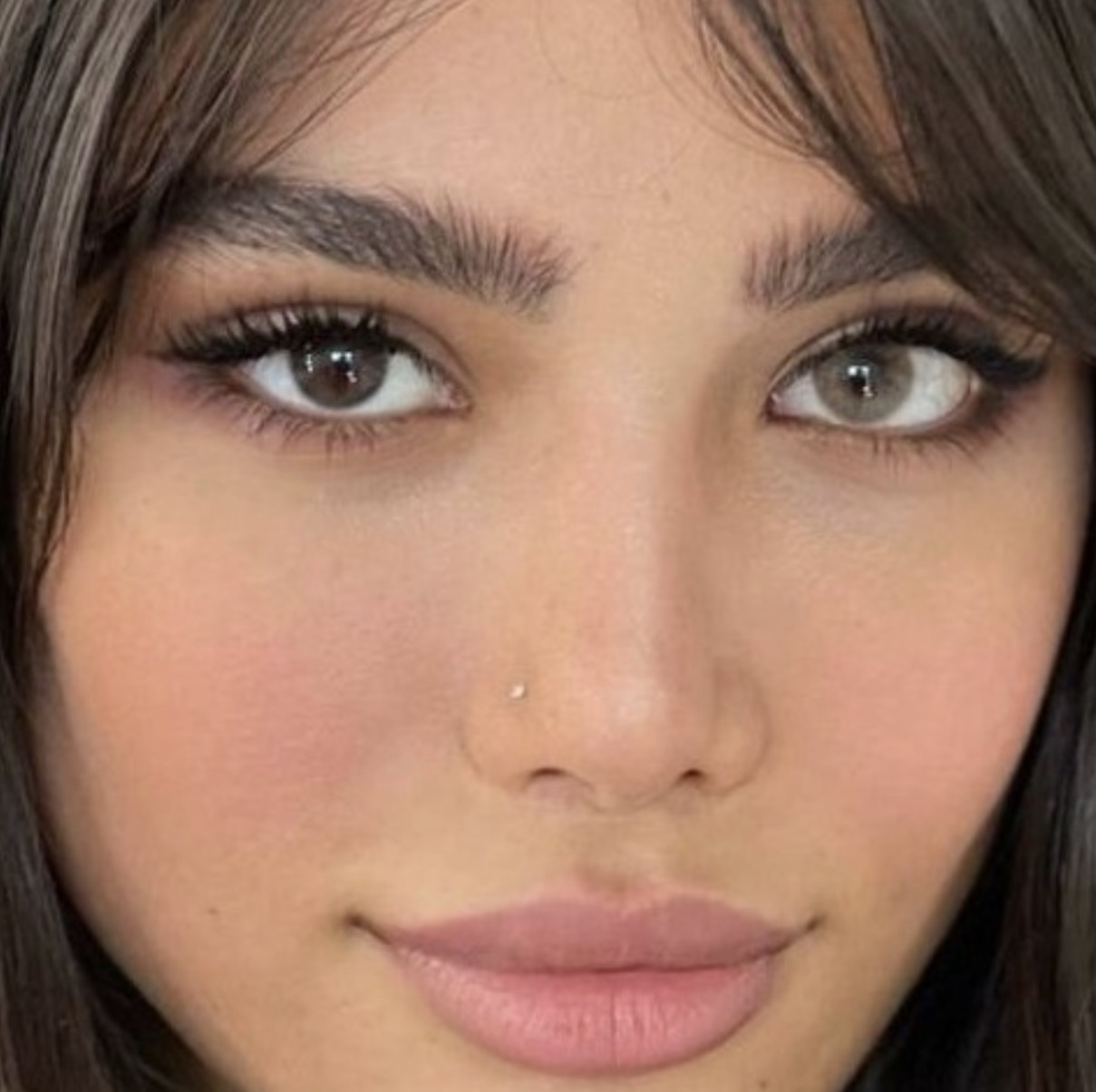 Screenshot هیزلنات- شیخ - Image 1