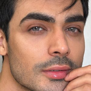 سلنا فصلی - گلکسی گری