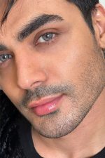 سلنا فصلی - گلکسی گری - Image 2