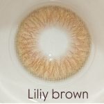 رز-لیلی بروان - Image 7