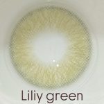 رز-لیلی گرین - Image 5