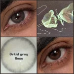 رز - ارکید گری - Image 5