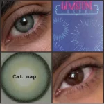 جمستون - کت نپ - Image 3